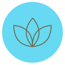 Icon-blue